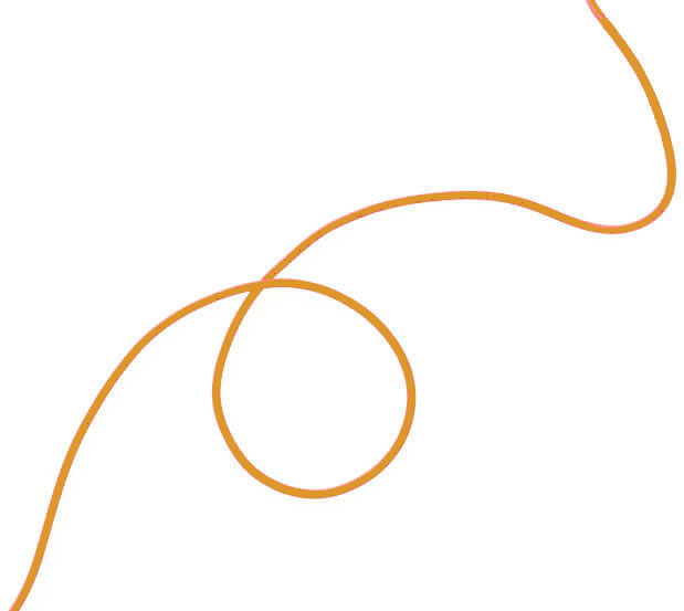 si-wire2